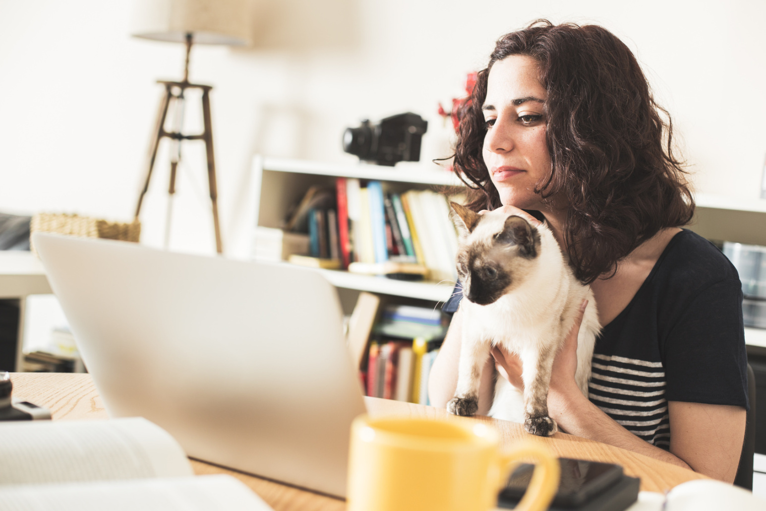 Junge Frau mit Katze am Laptop; Detektei München, Privatdetektiv München, Privatdetektei München